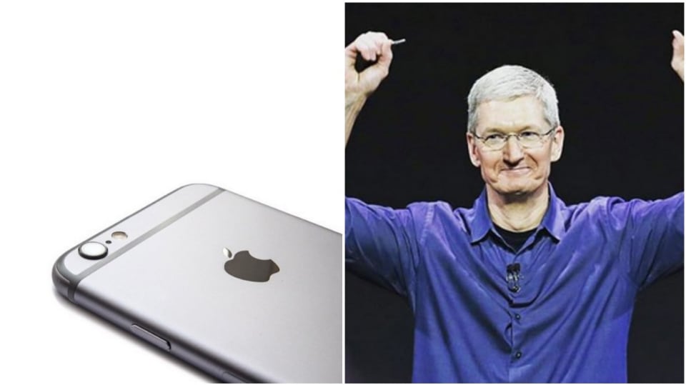 applesporx1